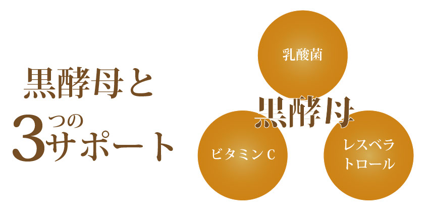 健康食品 株式会社日本ヒューマンサポート